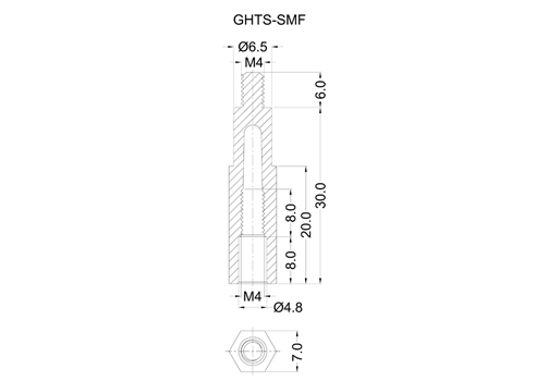 GHTS-SMF 2D 503X350.jpg